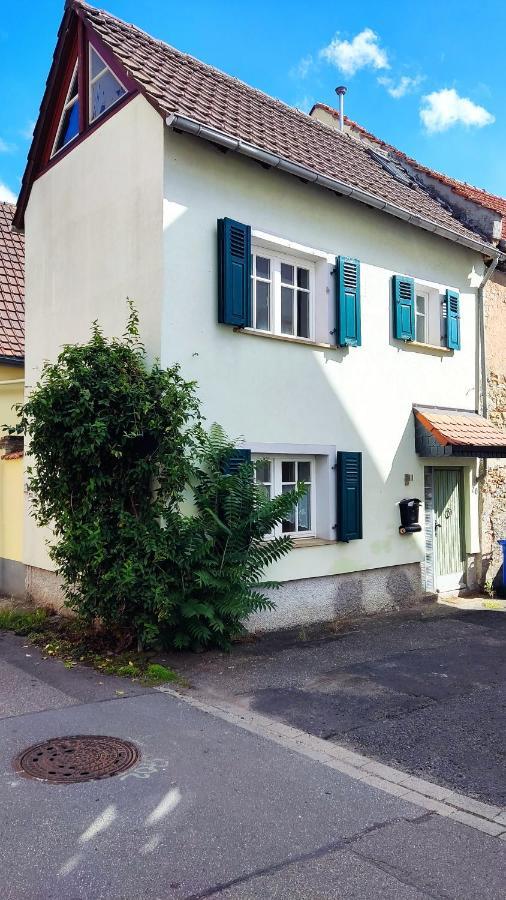 Schoenes Gemuetliches Haus Toplage Freinsheim Exterior foto